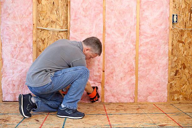 Best Soundproof Insulation Installation  in Winona, MN